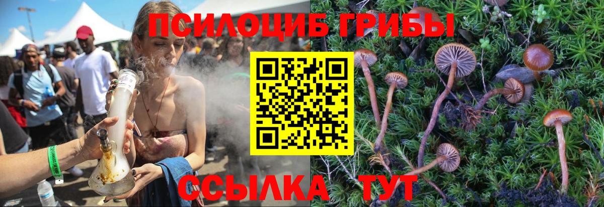 Саяногорск  Псилоцибиновые грибы Psilocybe  Вход с VPN 